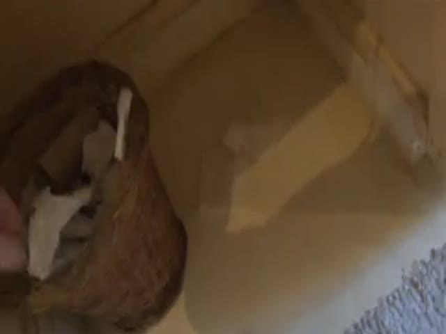 beauty & busty shower and bathroom - softcore