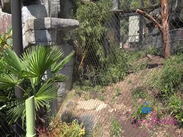 atkgirlfriends riley star you hit the zoo then rileys pussy