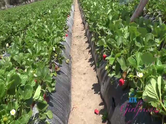 atkgirlfriends 22 05 24 fiona sprouts farm date