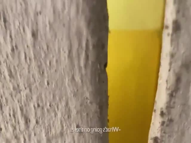 added viagra to the tea, and aroused the courier, fucked