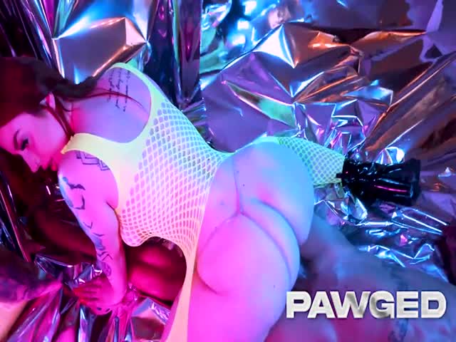 pawgemily pawg pleasure 2024 03 26